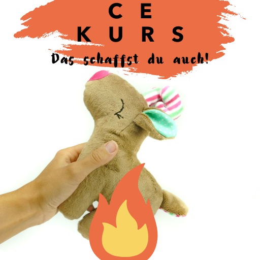 CE Kurs für Kuscheltiere und Schnuffeltücher