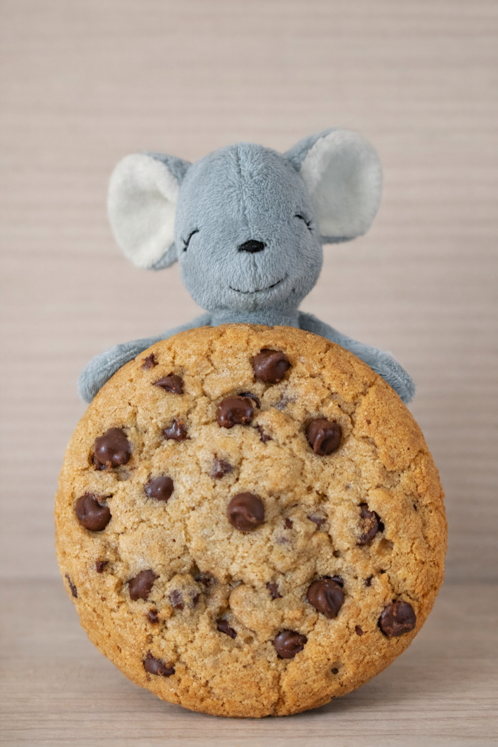 ebook - mini Kucheltier 3 in 1 - Cookie Maus, Toffee Hase, Brownie Bär