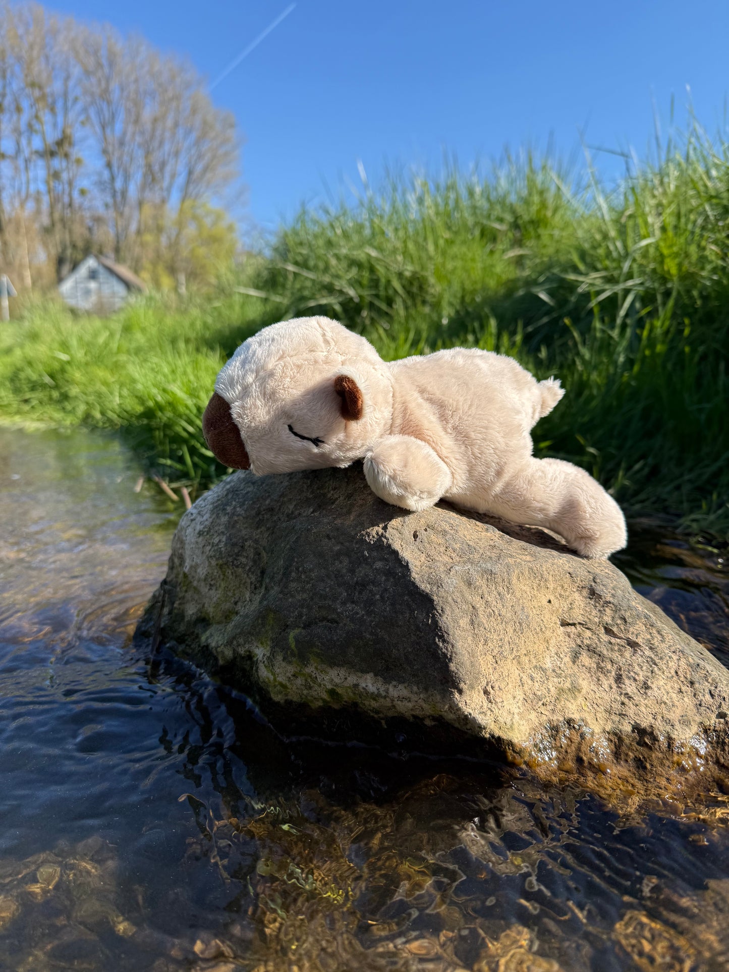 ebook - Capybara Kappa Kuscheltier