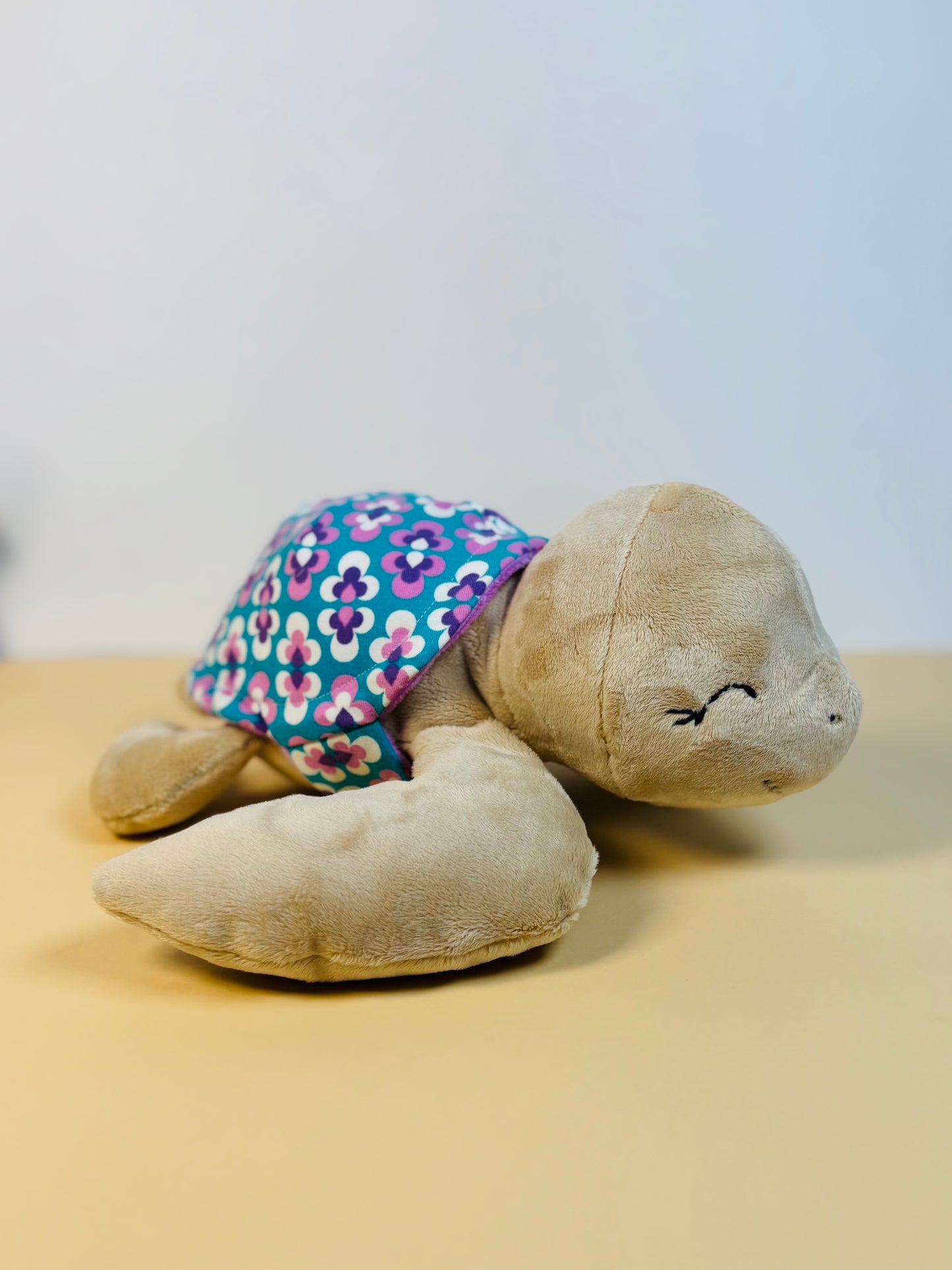 ebook - Schildkröte Frida