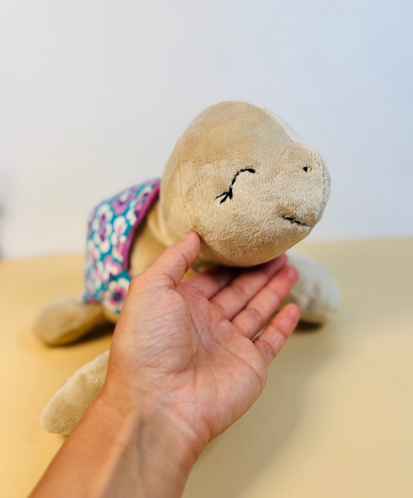 ebook - Schildkröte Frida